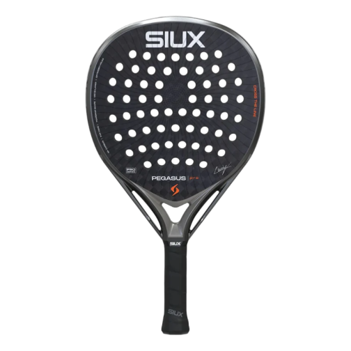 Siux-Pegasus-Pro-Storm-Grey-2026 3